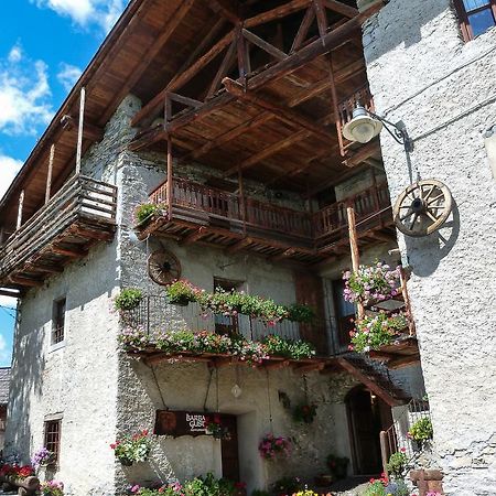 Agriturismo Barba Gust เชซานา โตรีเนเซ ภายนอก รูปภาพ