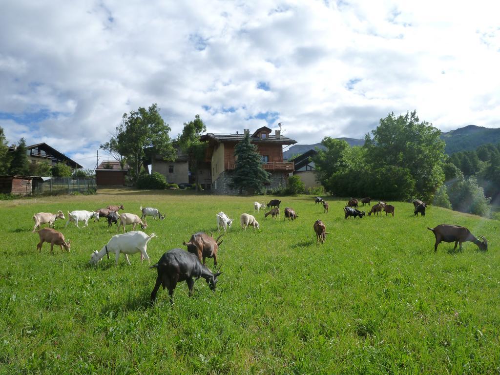 Agriturismo Barba Gust เชซานา โตรีเนเซ ภายนอก รูปภาพ