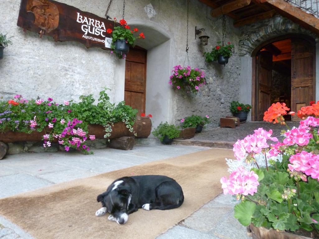 Agriturismo Barba Gust เชซานา โตรีเนเซ ภายนอก รูปภาพ