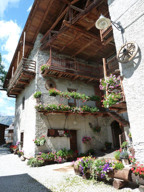 Agriturismo Barba Gust เชซานา โตรีเนเซ ภายนอก รูปภาพ