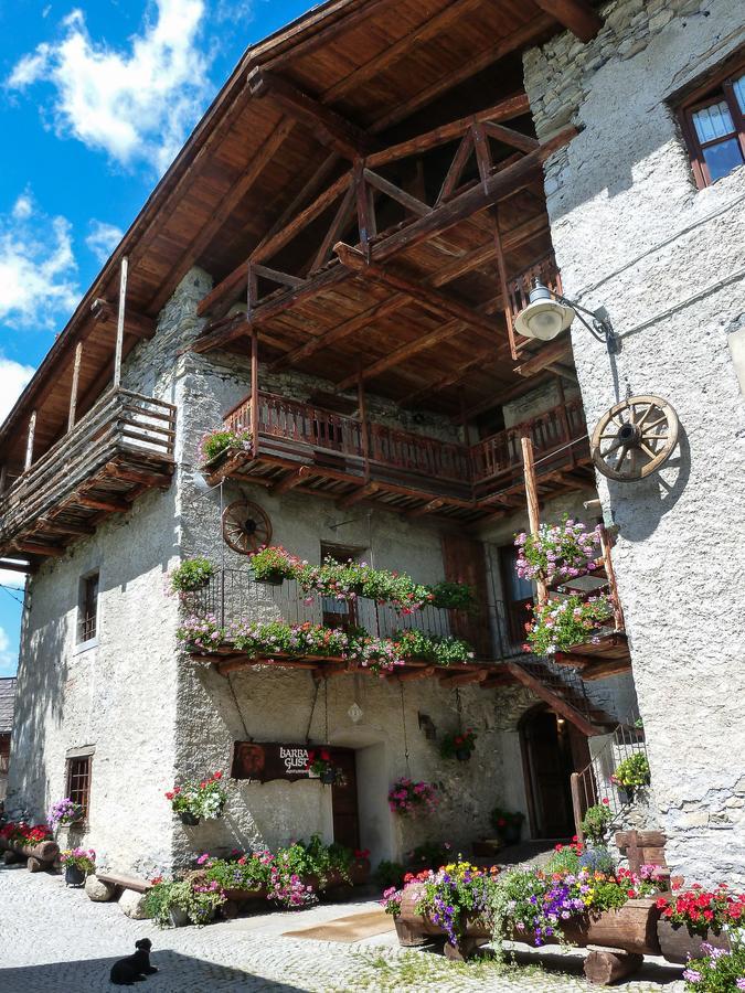 Agriturismo Barba Gust เชซานา โตรีเนเซ ภายนอก รูปภาพ
